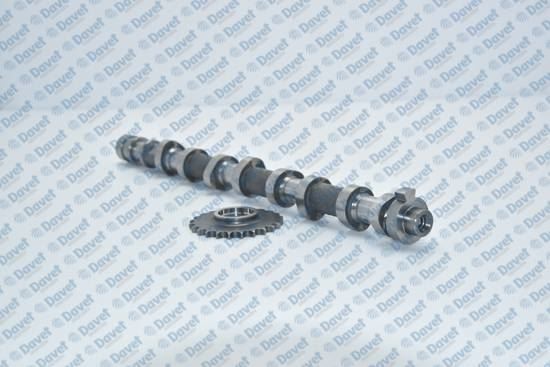 ESTAS 19010 Eksantrik Mili Emme Dokum (24100-2a101) Hyundai Accent Iii Getz-Cerato 05-09 Blue-I20-I30-Ceed 11> 1.5crdi